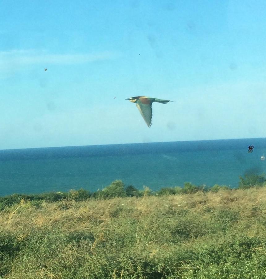 Agriturismo La Costa Dei Trabocchi Торино ди Сангро Екстериор снимка